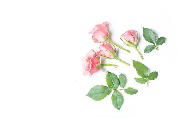 Rosas sobre blanco
 - Foto, Imagen