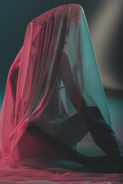 elegant woman behind the veil - Foto, imagen