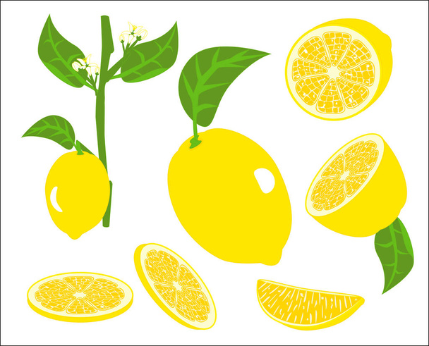 Vector de fruta limón
 - Vector, imagen
