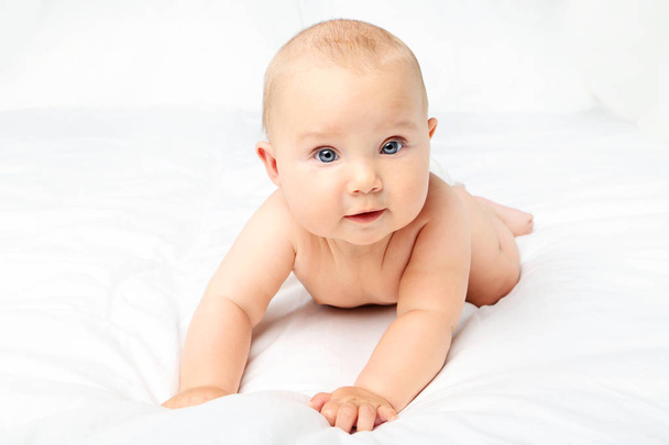Little newborn baby on white bed - Foto, Imagem