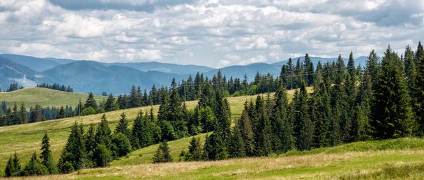 Amazing carpathian mountains - Фото, зображення