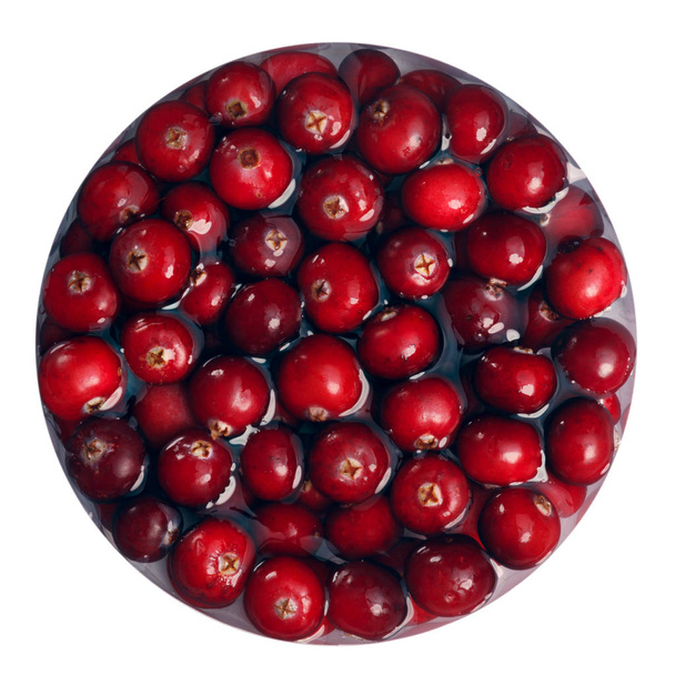 Floating immersed cranberries, top view, paths - Photo, image