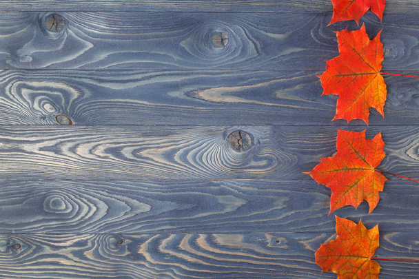 木製の背景を紅葉 - 写真・画像