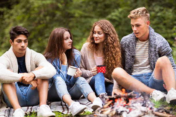Teenagers camping in nature, sitting at bonfire. - Zdjęcie, obraz
