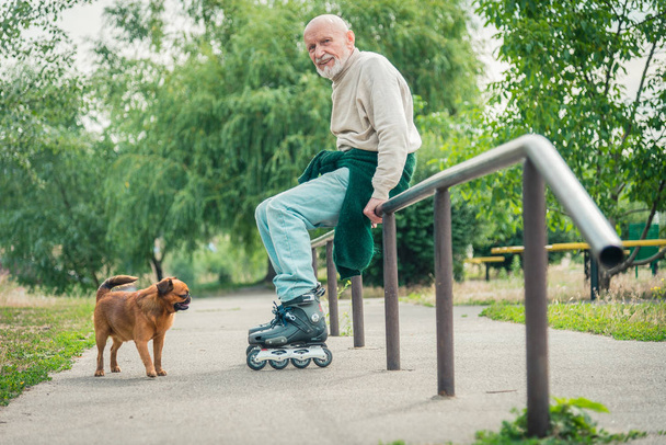 Grandpa rolls on roller with a dog of the Griffon breed - Fotoğraf, Görsel