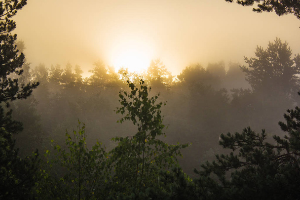 Na cestě brzy ráno je mlha - Fotografie, Obrázek