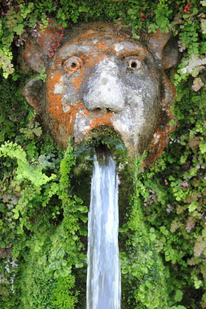 pies fontanna w villa d - Zdjęcie, obraz