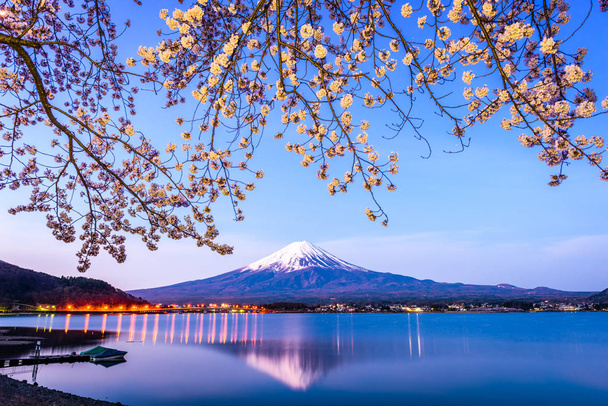 Mt. Fuji bahar - Fotoğraf, Görsel