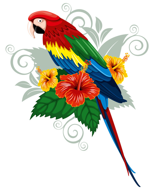 Papagaio e flores tropicais
 - Vetor, Imagem