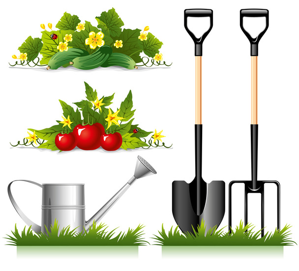 Jardinage articles connexes
 - Vecteur, image