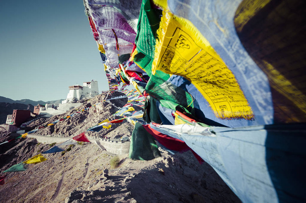 Preghiera bandiere tibetane vicino al Monastero Namgyal Tsemo a Leh, La
 - Foto, immagini