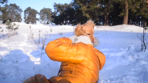 chica divirtiéndose jugando con el perro en el parque de nieve de invierno, el perro robó un sombrero con un divertido niñas, día helado soleado
. - Metraje, vídeo