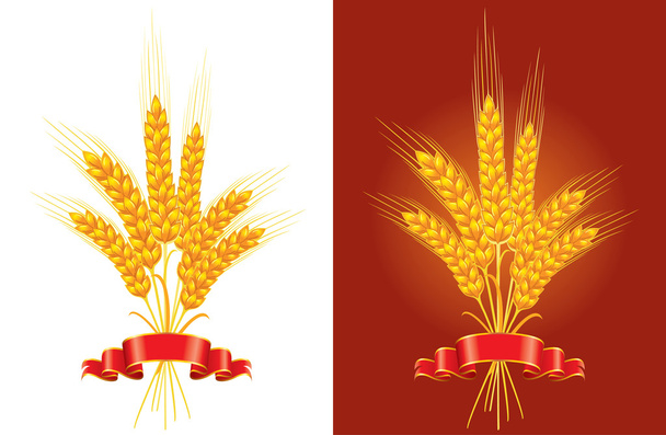 bunch of golden wheat - Vector, Image