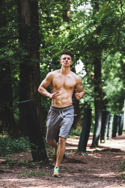 mladý muž běží v parku - Fotografie, Obrázek