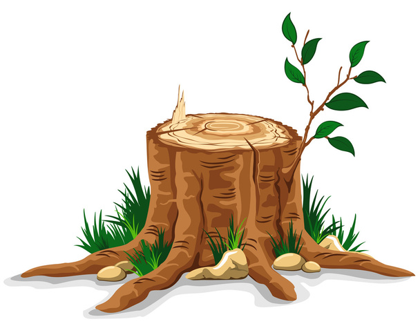 Tree stump - Vector, Image