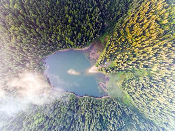 Ilmakuva Lake Synevir Karpaattien vuoristossa Ukrainassa
 - Valokuva, kuva