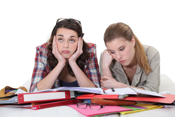 Two female friends revising together - Fotó, kép