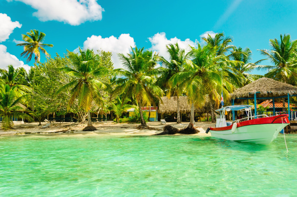 Καταπληκτική παραλία δέντρο εξωτικούς με πολύχρωμα βάρκα, Δομινικανή Δημοκρατία - Φωτογραφία, εικόνα