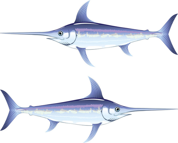Swordfish vector illustration clip-art image - Vector, imagen