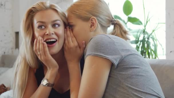 Two girls are gossiping - Filmmaterial, Video