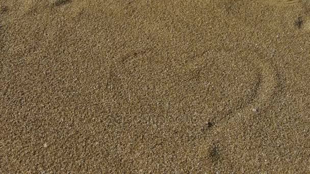 egy emberi kéz használata kagyló rajz szív jel-ra arany homok. - Felvétel, videó