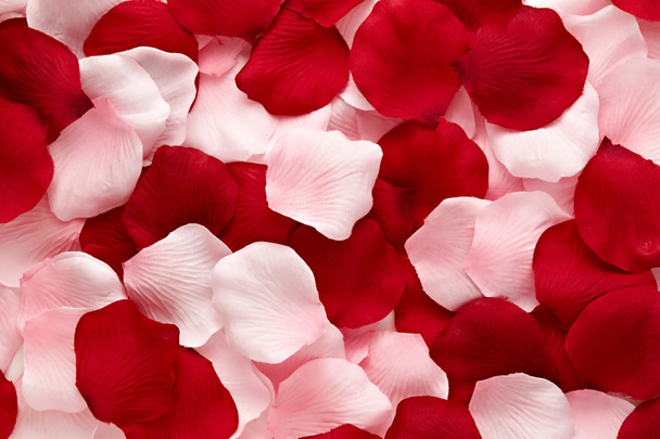 ρομαντικά κόκκινο και ροζ ροδοπέταλα ρομαντικά κόκκινο και ροζ ροδοπέταλα - Φωτογραφία, εικόνα