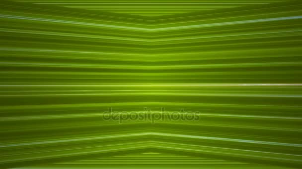 緑、抽象的、単発、4 k 放送水平線ハイテク ドーム - 映像、動画