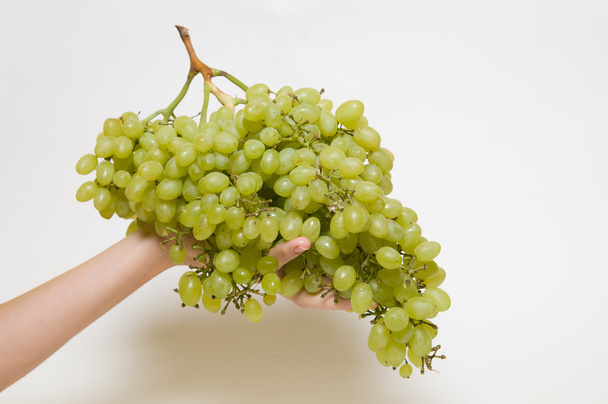 Green grapes on hand - Φωτογραφία, εικόνα