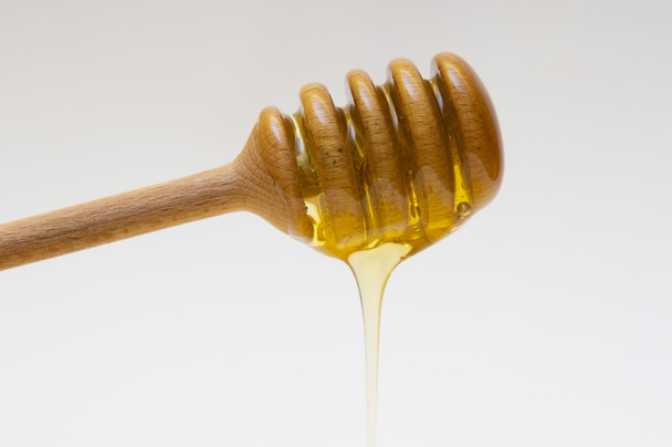 Taste of honey - Fotografie, Obrázek