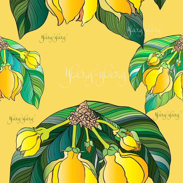  Ylang-ylang vector Image medicinal, perfumery and cosmetic plants. Branches. Seamless pattern. - Vector, Image