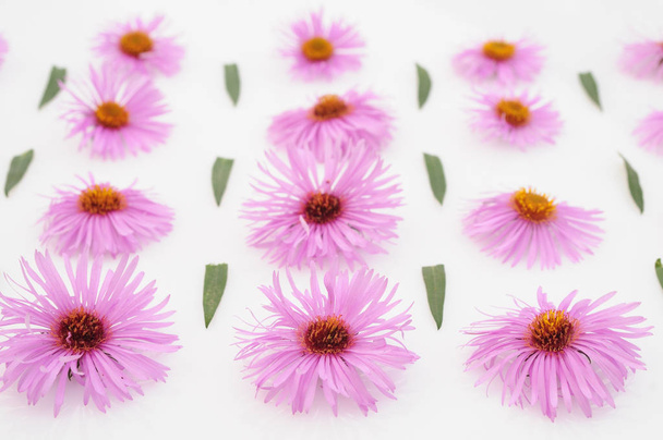 pink flowers on a white background - Foto, Bild