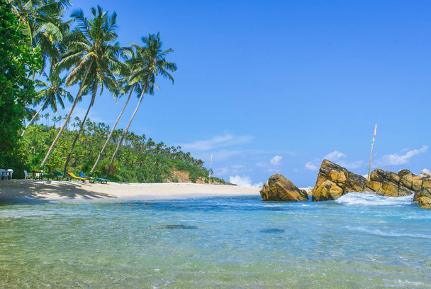 Tajne plaży w miejscowości Mirissa, Sri Lanka - Zdjęcie, obraz