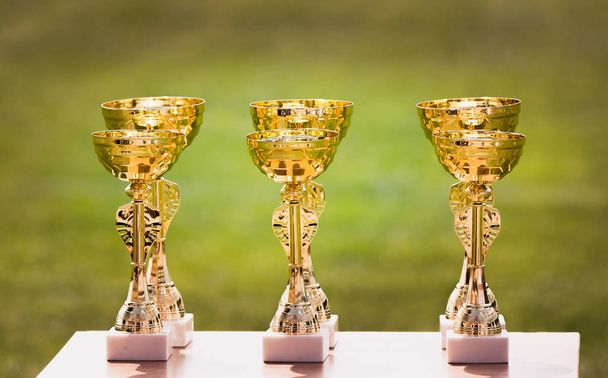 Hermoso campeón copas de trofeo de oro para los ganadores en el fútbol comp
 - Foto, imagen