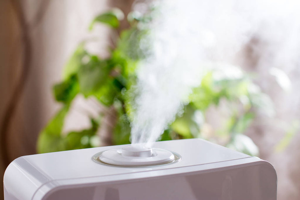 Humidifier in the house - Photo, Image