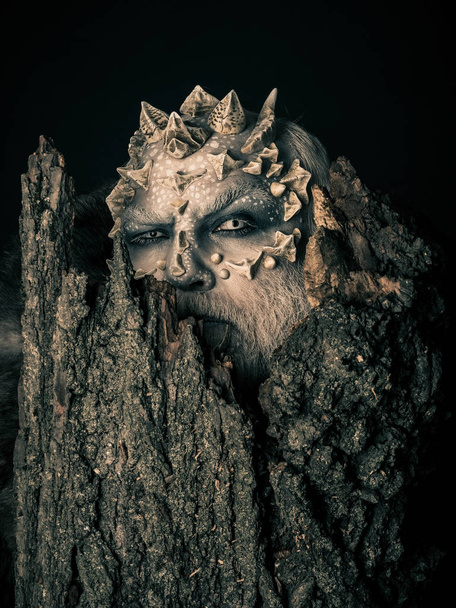 Druid behind old bark on black background - Valokuva, kuva
