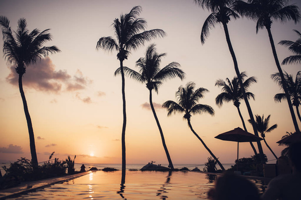 Palm Trees on Sunset - Valokuva, kuva