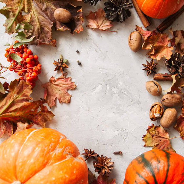 Pumpkins, maple leaves and spices. - Valokuva, kuva