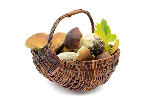 penny bun mushroom in basket on white isolated background. - Photo, image