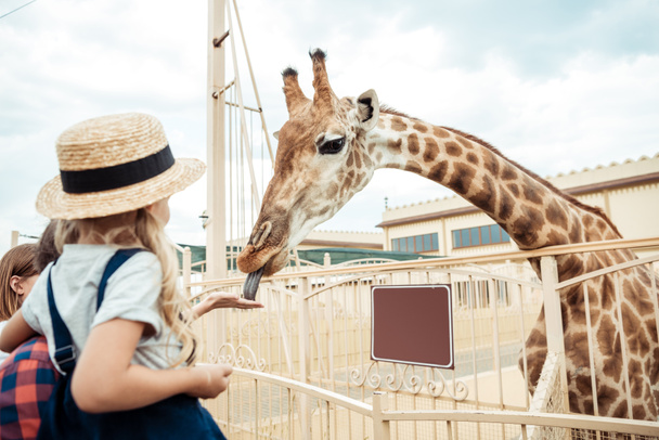 Familie schaut Giraffe im Zoo an - Foto, Bild