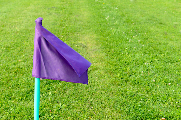Бузкові прапори на зеленій траві футбольного поля
. - Фото, зображення