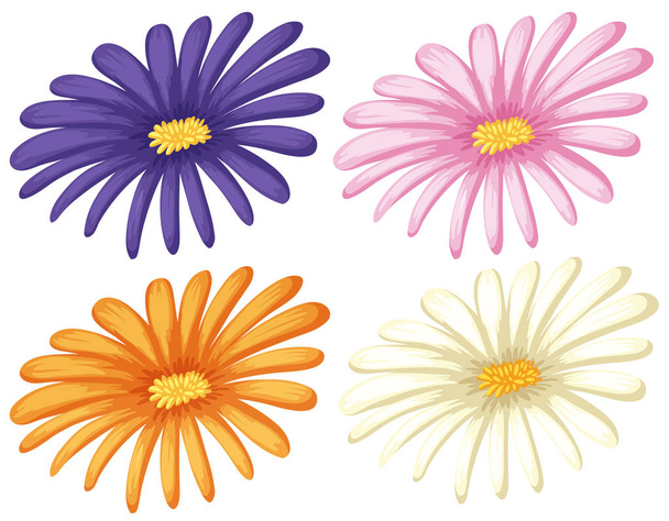 Cuatro colores de flores sobre fondo blanco
 - Vector, imagen