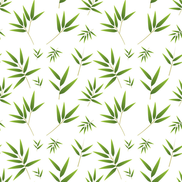 Seamless bamboo pattern on white - Vector, Image