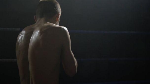 Shadow Boxer. Silný svalnatý boxer. Cvičení shadowboxing zadní pohled - Fotografie, Obrázek