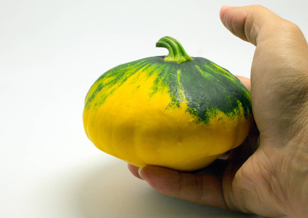 spotted squash on a white background and man's hand - Fotografie, Obrázek