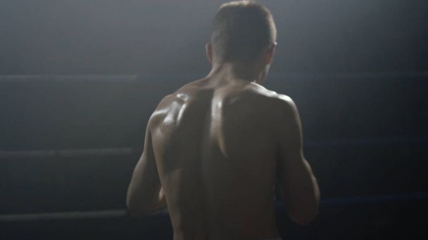 Тіньовий боксер. Сильний м'язовий боксер. Тренування тіньовий бокс ззаду
 - Фото, зображення