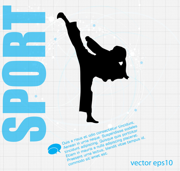 karate illusztráció - Vektor, kép