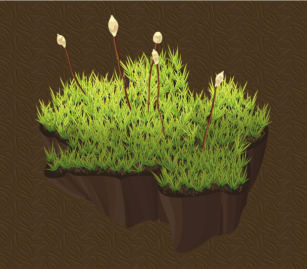 Moss on the ground. - Vector, Image