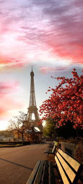 Eiffel-torni keväällä, Pariisi, Ranska
 - Valokuva, kuva