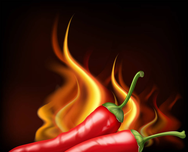 Burning fire with two hot chilies - Vector, Image