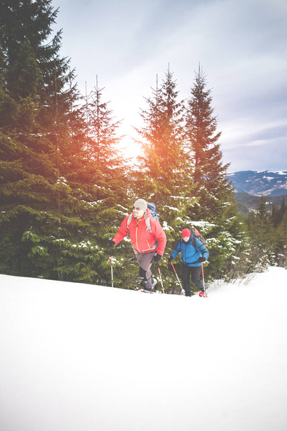 Два альпиниста зимой
. - Фото, изображение